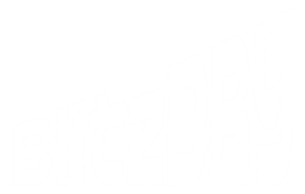 BlitzDRY